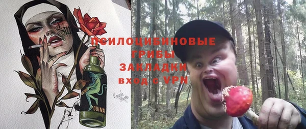 эйфоретик Баксан