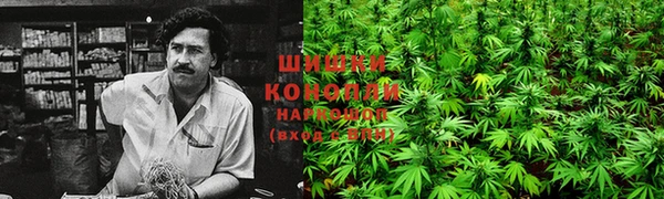 гидропоника Балабаново