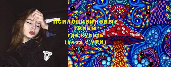 эйфоретик Баксан